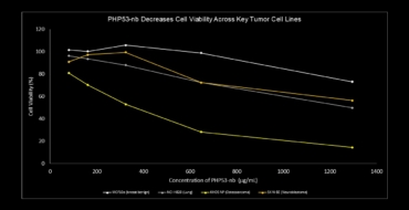 Efficiacy_Key_tumors
