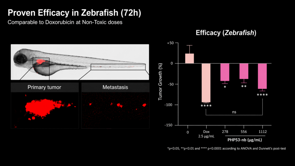 Efficacy Zebrafish