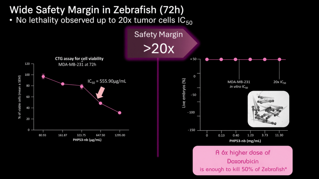Safety Margin Zebrafish