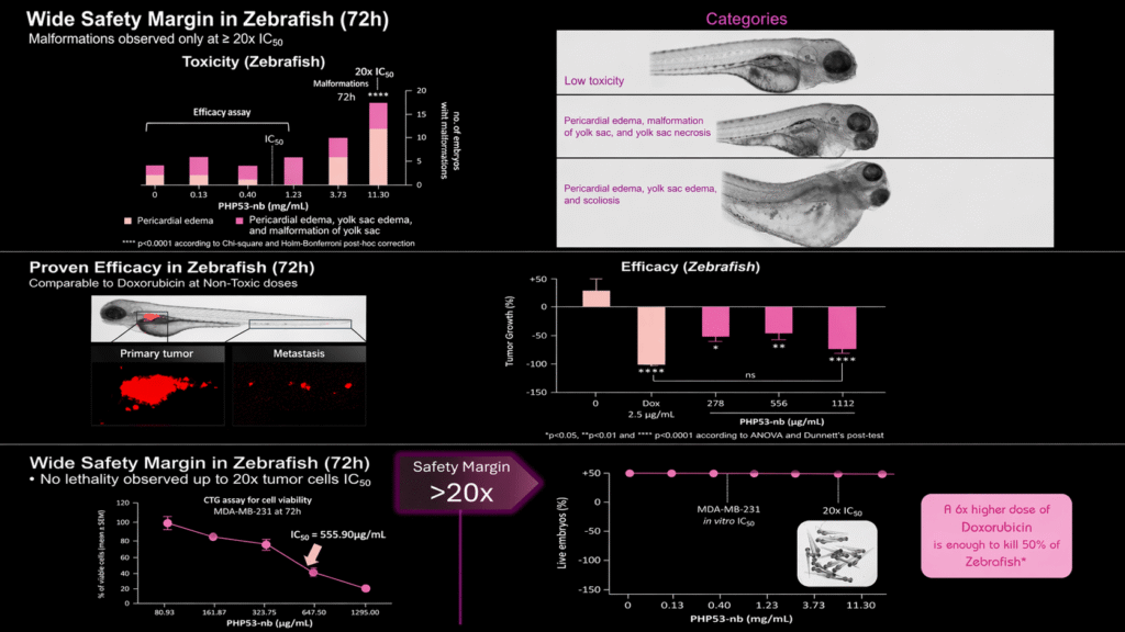Toxicity Zebrafish